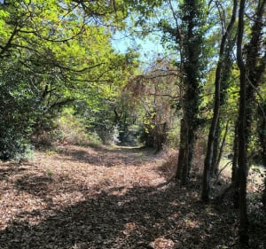 Casteide-Doat et ses amis alentours - Corinne - 4