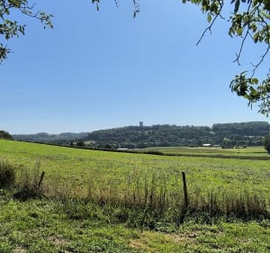 Casteide-Doat et ses amis alentours - Corinne - 2
