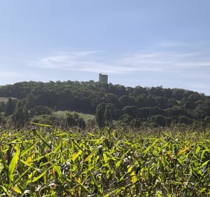 Casteide-Doat et ses amis alentours - Corinne - 5