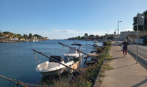 Le tour des marécages, entre étang et mer autour d'Agde - Michel - 10