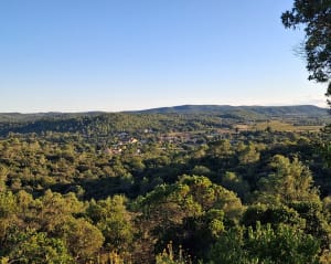 Domessargues, sortie boisée et plongée dans les vignes - Olivier - 2