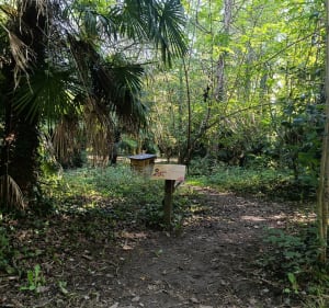 Balade à Lons et forêt avec nouvel espace jeux - Lons - 2