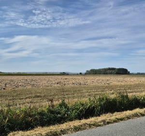 Petite boucle le long de l'Aa - Gravelines - 2