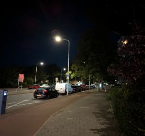 Schiedam naar Leyenburg - Björn - 2