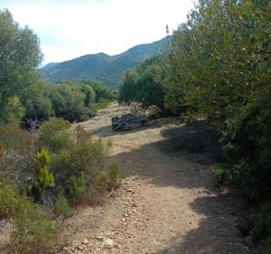 Sentier de la bomba - Villanova - 4