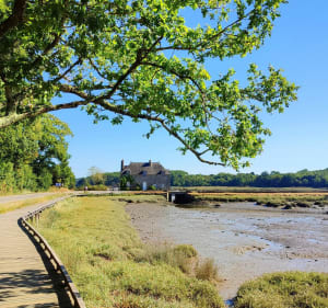 Les 2 rives du Sal (Plougoumelen) - Plougoumelen - 2