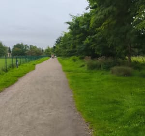Żabianka intensywnie - Gdańsk - 2