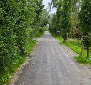 Żabianka intensywnie - Gdańsk - 3