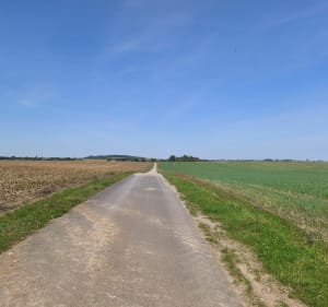 Champs et bois : Harprich-Mutche-Morhange-Vallerange - Sophie - 5
