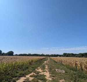 Rando 10km à Leuville-sur-Orge - Leuville-sur-Orge - 2