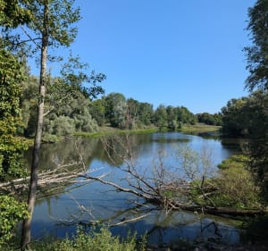 Rando 10km à Leuville-sur-Orge - Leuville-sur-Orge - 5