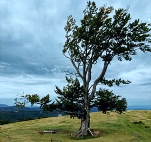 WGòryRowerem-OsiłachWłasnych - Brenna - 3