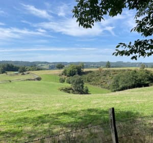Le gourdaloup - Saint-Cirgues-la-Loutre - 4