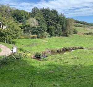 Le gourdaloup - Saint-Cirgues-la-Loutre - 5