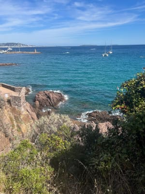 Mandelieu et son sentier du littoral riche en couleur - Mandelieu-la-Napoule - 5