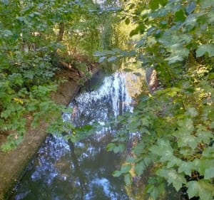 La Couture Sentier de la Lawe - Claude - 5
