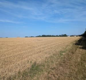 Sortie campagne près de Caen - Christele - 2
