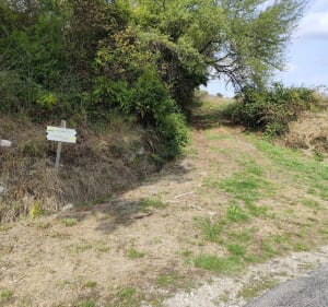 Circuit du colombier à Saint Séverin - Saint-Séverin - 4