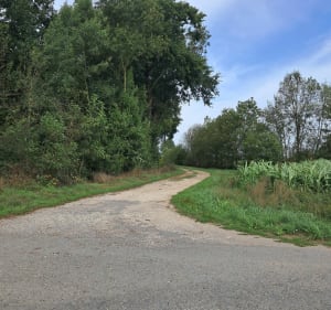 Entre LA ROCHETTE, AGRIS et RIVIERES - Cecile - 4
