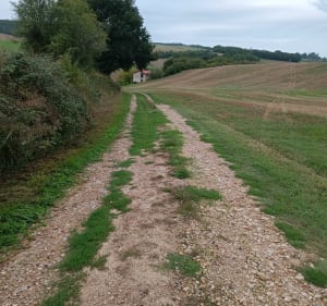Du domaine Les Miquels au centre de Castelnau-de-Montmiral - Murielle - 4