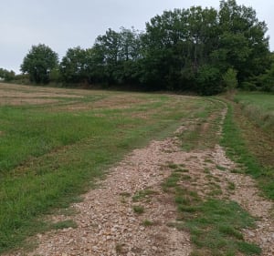 Du domaine Les Miquels au centre de Castelnau-de-Montmiral - Murielle - 3