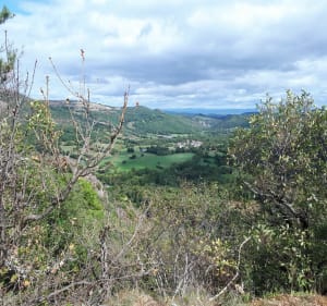 Le Puy d'Eraigne au départ de Saint-Nectaire - Brigitte - 2