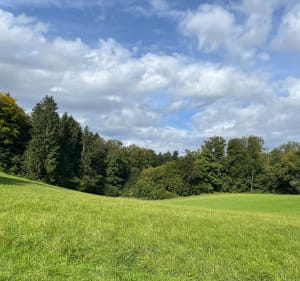 Boucle vers l'oratoire de Saint-Joseph et le chemin rocheux de Blauenberg - Lutter - 4