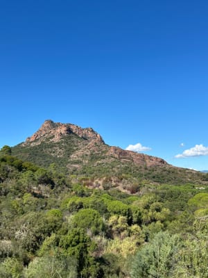 Les Campons à Roquebrune sur Argens - Marianne - 4