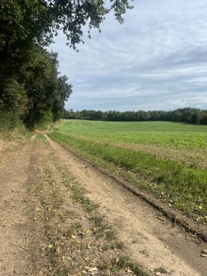 Villeneuve et balade au bord du Layon sentant bon la campagne - Iris - 2