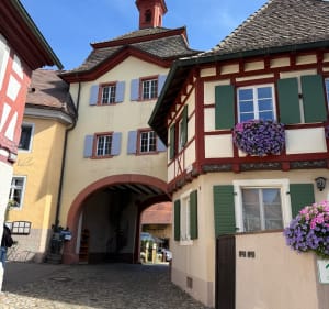 Du Ried au Kayserstuhl (départ Sundhouse) - Anita - 3