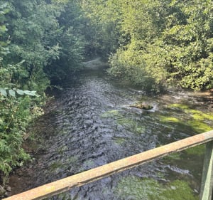 Ça use les souliers à Boubers-sur-Canche - clarisse - 2