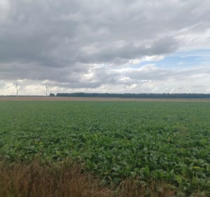 Marche familiale à Ansauvillers - LAURENT - 2