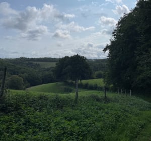 Entre Auvergne et Limousin de Rilhac-Xaintrie - Rilhac-Xaintrie - 5