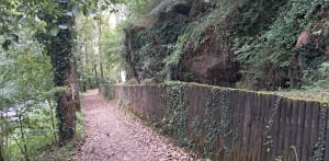 Flâneries au long cours de l'Aveyron - Domi - 3