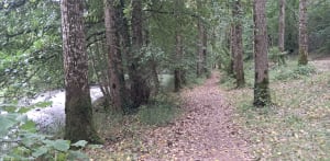 Flâneries au long cours de l'Aveyron - Domi - 5