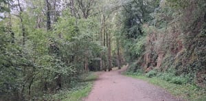 Flâneries au long cours de l'Aveyron - Domi - 6