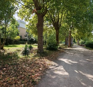 Balade variés à Ablon, par étang Laveyssière - Yohan - 4