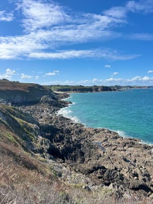 Cancale en de wilde bewoners van de Pointe du Grouin - Nina - 5
