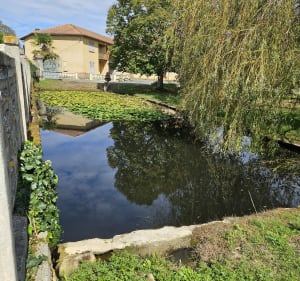 Le chemin de la chapelle St Jaymess - William - 4