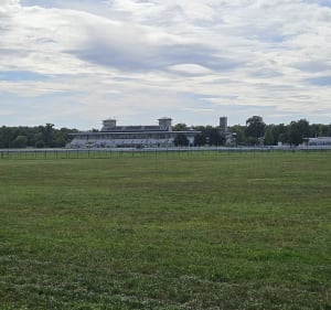 Gare de Senlis Petite pelouse Chantilly - JEAN FRANCOIS - 3