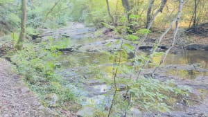 Le long de la Brague et Cascade  du Bruguet - Simon - 5