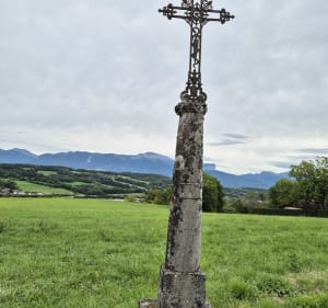Entre forêt, champs et rivière à Cuvat - Allonzier-la-Caille - 5