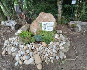 Autour de la Combe de Sillingy par Arzy - SABINE - 7