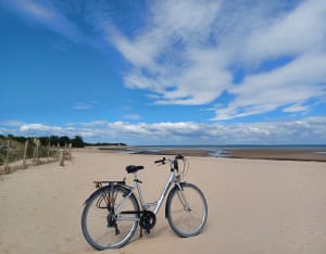 Zoutmoerassen en stranden op het Île de Ré - Rafael - 7
