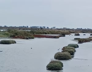 Zoutmoerassen en stranden op het Île de Ré - Rafael - 8