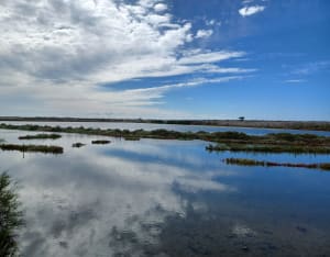 Zoutmoerassen en stranden op het Île de Ré - Rafael - 6