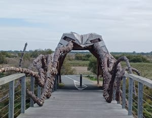 Zoutmoerassen en stranden op het Île de Ré - Rafael - 10