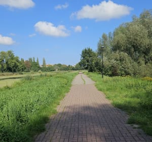 Bieg opływy Motławy - Gdańsk - 3