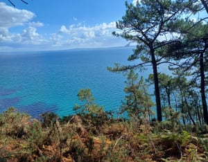 Petit tour du cap de la chèvre - Crozon - 8