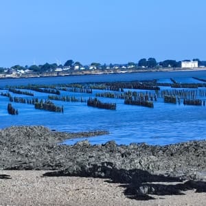 9 plages sur le Gr34 et sentier de tunnels forestiers - Patrick - 6